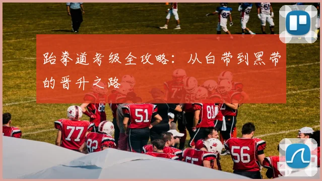 跆拳道考级全攻略：从白带到黑带的晋升之路