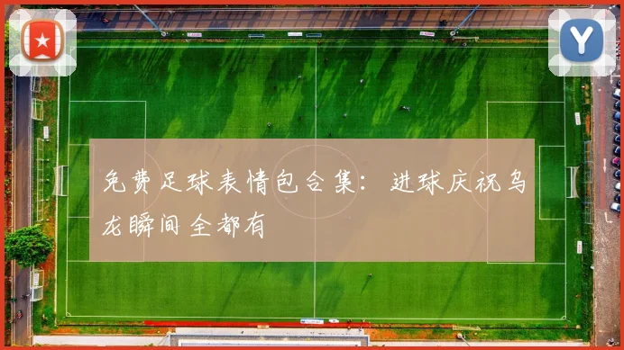 免费足球表情包合集:进球庆祝乌龙瞬间全都有