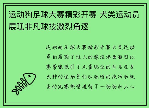 运动狗足球大赛精彩开赛 犬类运动员展现非凡球技激烈角逐