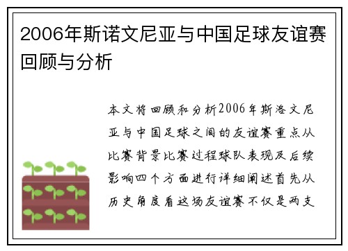 2006年斯诺文尼亚与中国足球友谊赛回顾与分析